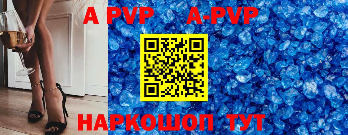 A PVP СК КРИС Владимир