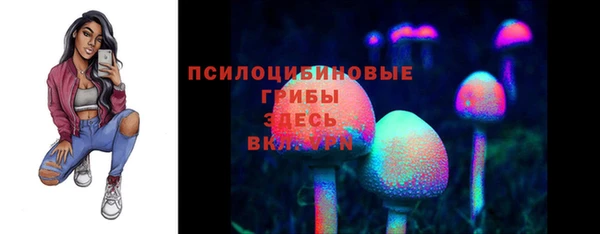 винт Абаза