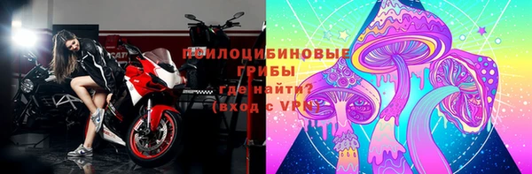 стафф Кукмор