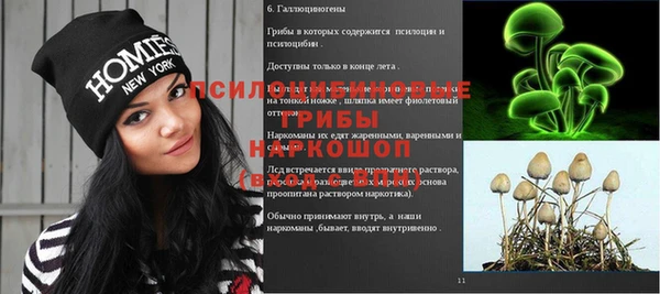 винт Абаза