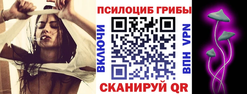 ОМГ ОМГ как зайти Владимир Галлюциногенные грибы ЛСД где купить наркотик
