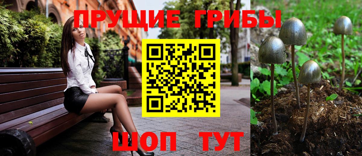 Псилоцибиновые грибы мухоморы  Вход с VPN  Владимир 